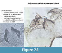 s figure72