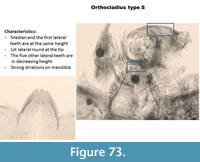 s figure73