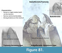 s figure81