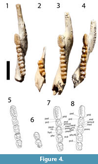 s figure 04