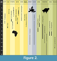 s figure 2