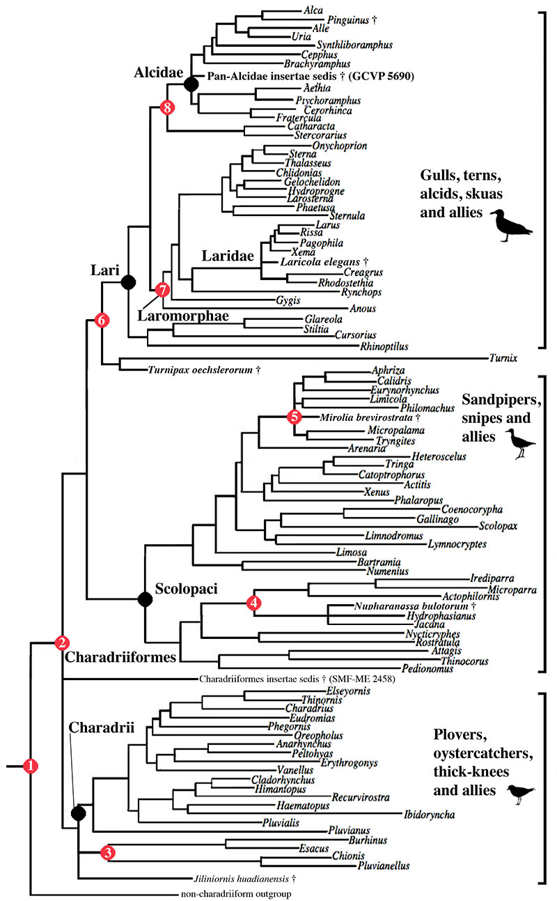 figure1