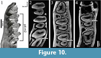 s figure10