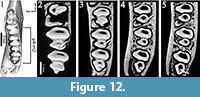 s figure12