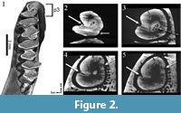 s figure2