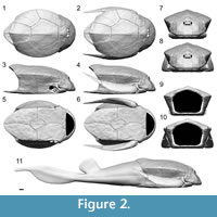 s figure2