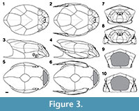 s figure3