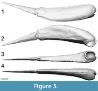 s figure5