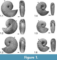 s figure 1