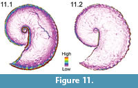 s figure 11