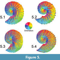 s figure 5