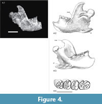 s figure4