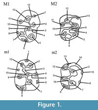 s figure 1