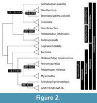 s figure2