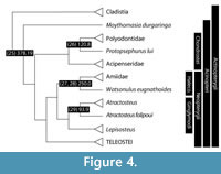 s figure4