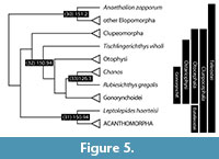 s figure5