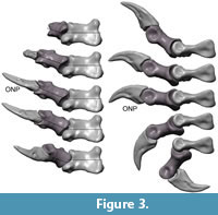 s figure3