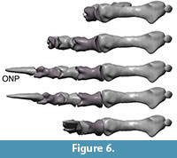 s figure6