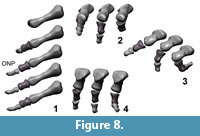 s figure8