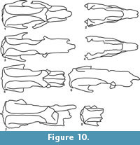 s figure10