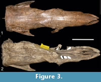 s figure3