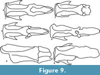 s figure9