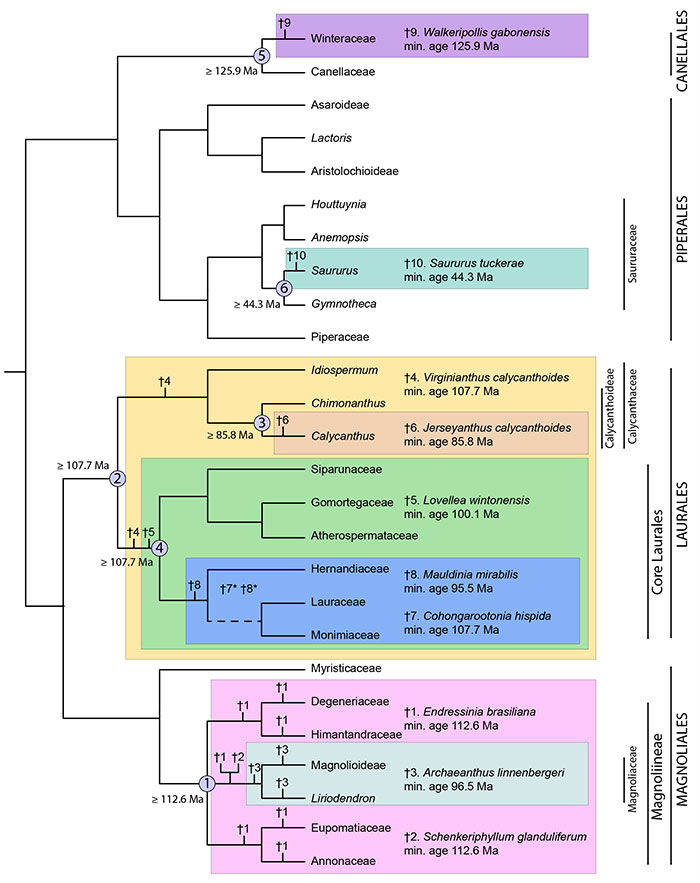 figure1