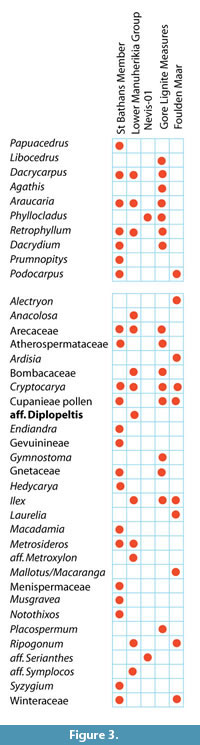 s figure 3