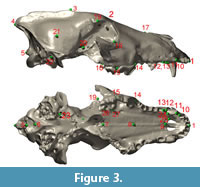 s figure 3