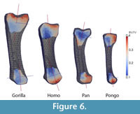 s fig6