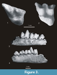 s figure3