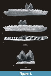 s figure4