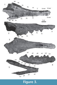 s figure 3