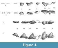 s figure 4