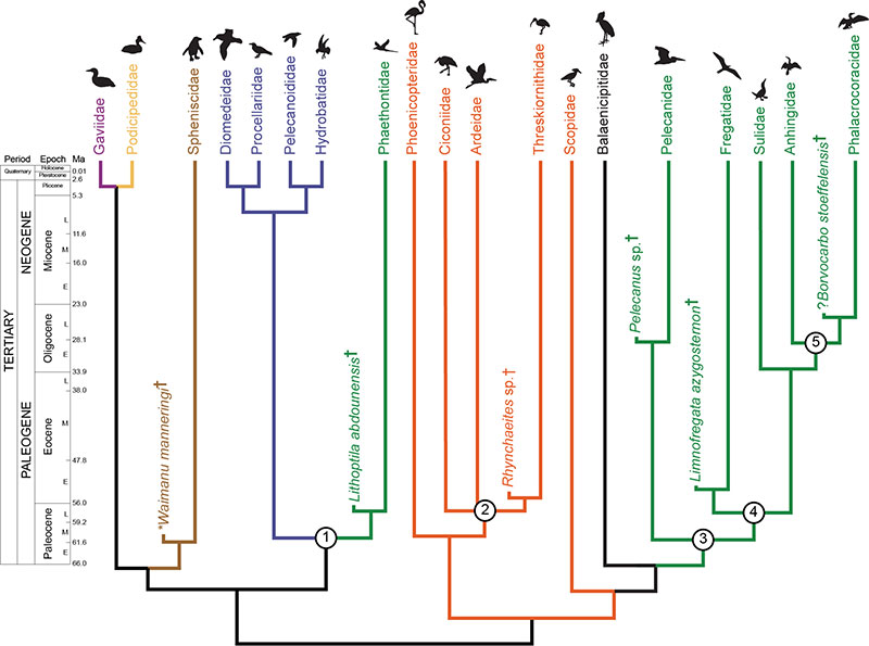 figure3