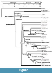 sfigure1