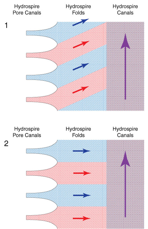 figure2