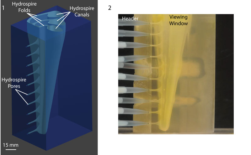 figure3