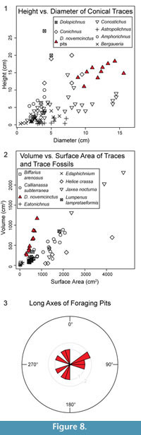 s figure 8