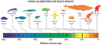 Commentary: Fossil Calibration Database