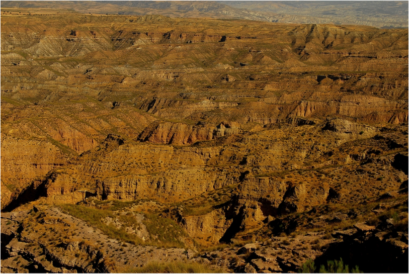 desert pic