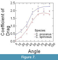 sfigure 7