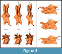 s figure 5