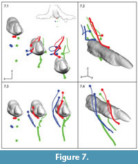 s fig 7