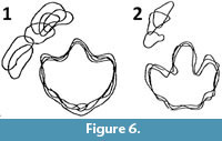 s figure 6