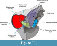 s figure 11