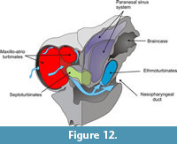 s figure 12