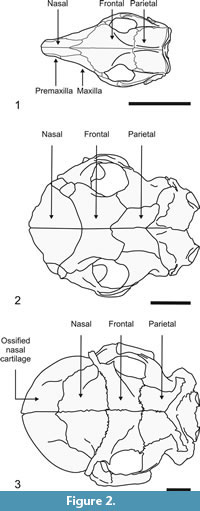 s figure 2