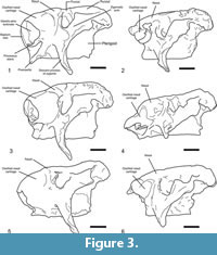 s figure 3