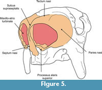 s figure 5